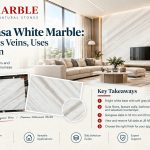Bianco Lasa White Marble: A Guide to Its Veins, Uses and Selection